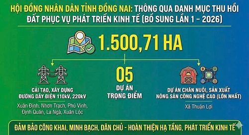 Bài viết 6.jpg
