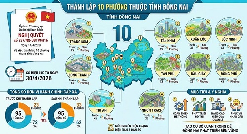 Bài viết 53.2.jpg